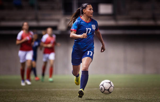 加多元化 加多元化